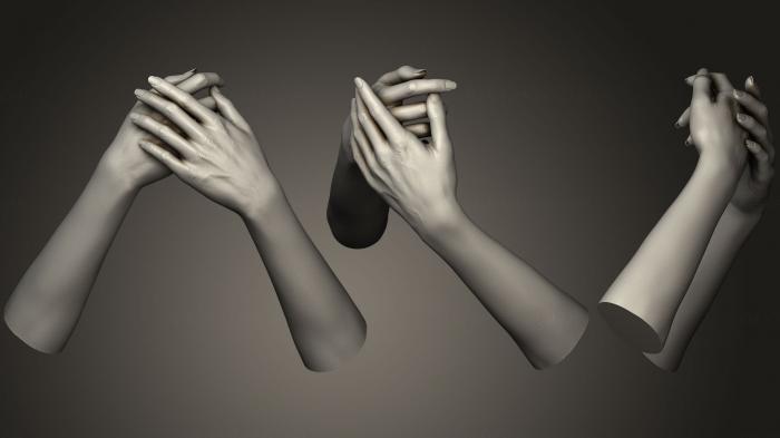 نموذج ثلاثي الأبعاد لآلة CNC تشريح الهياكل العظمية والجماجم أيدي النساء 7